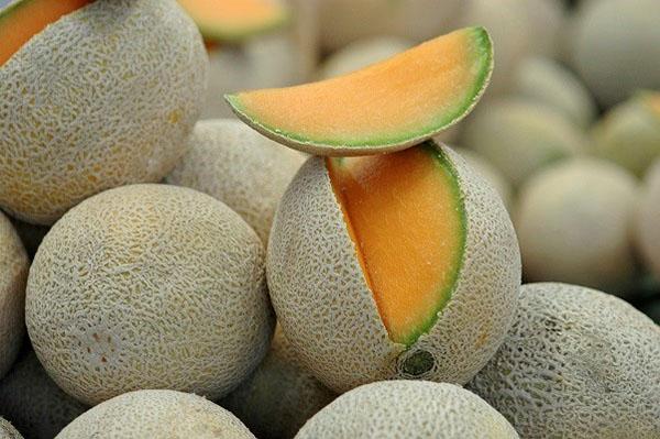 Melon Cantaloupe has orange pulp