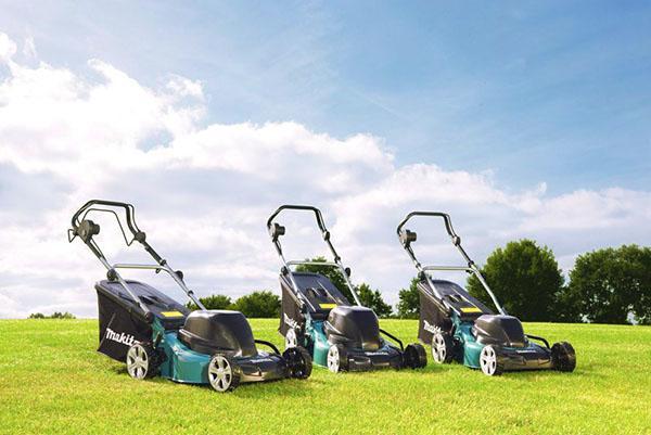 Choosing a Makita lawn mower model