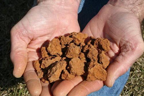 Clay soil sample