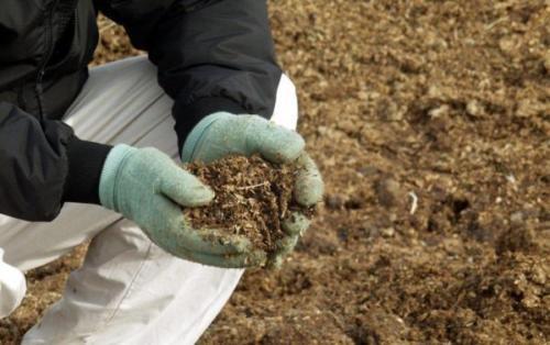 Toprağı iyileştirmenin anahtarı samanla çiftçilik yapmaktır