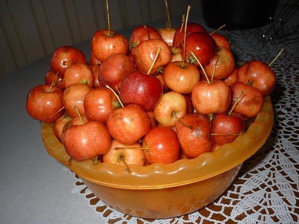 meine Äpfel
