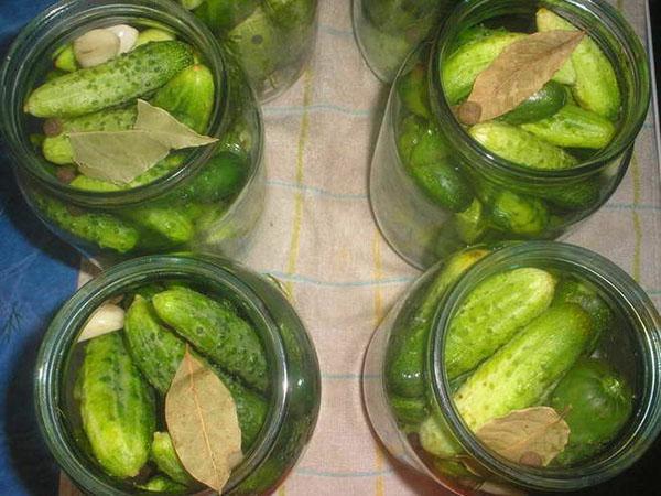 vul potten met komkommers