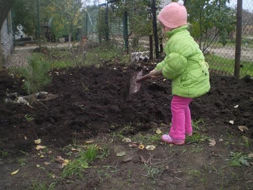 копајући башту