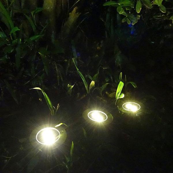 lamps in the garden