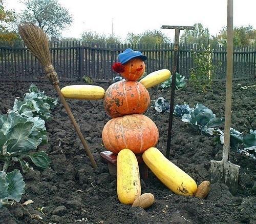 dug up vegetable garden