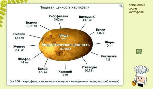 maistinė bulvių vertė