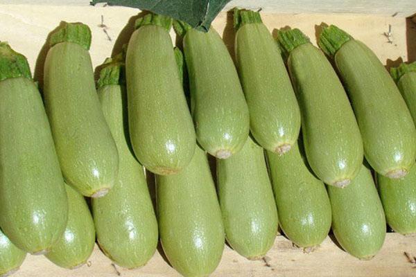 courgettes saines