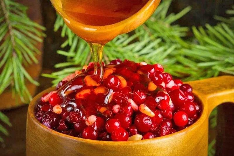 lingonberry opskrifter til vinteren med honning