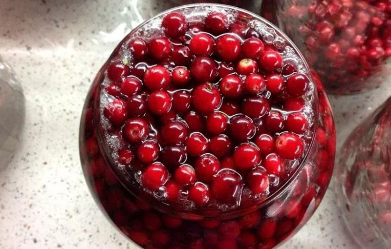 وصفات lingonberry لفصل الشتاء