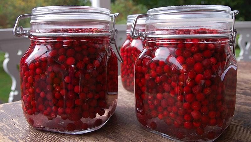 συνταγές lingonberry για το χειμώνα χωρίς ζάχαρη
