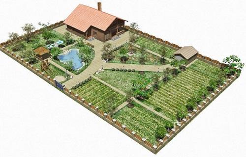 схема на засаждане на зеленчукова градина между дървета
