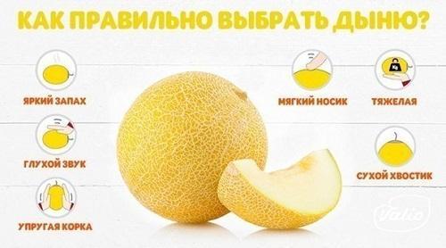 hoe je een meloen kiest
