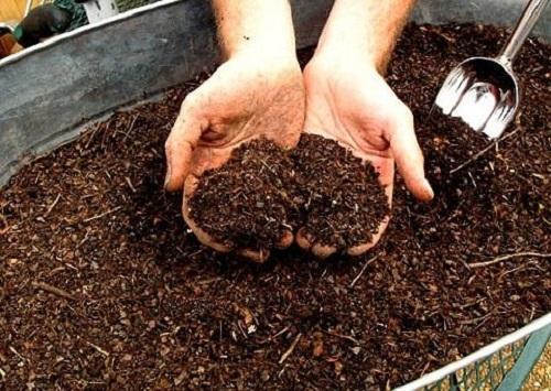 compost with sawdust