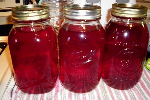 lingonberry compote according to the classic recipe