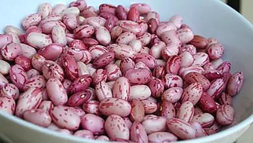beans para sa salad