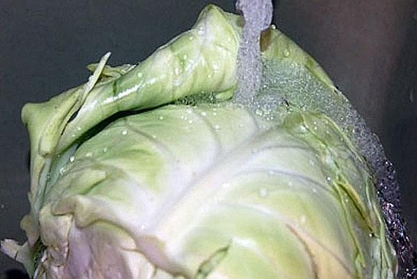 wash the cabbage
