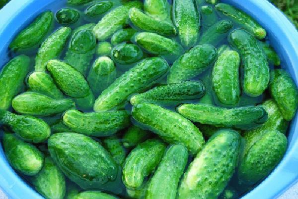 wash cucumbers well