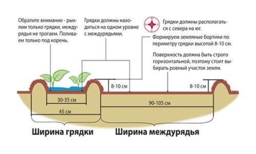 bahçe diyagramı
