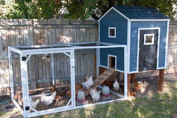 chicken coop with aviary