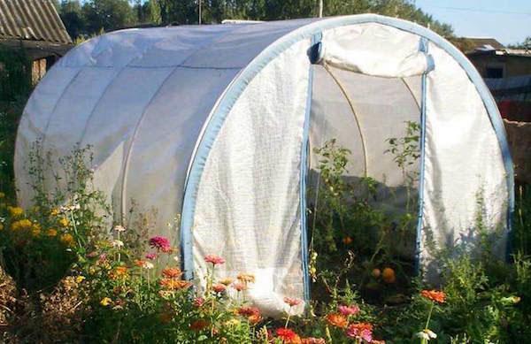 film greenhouse in the country
