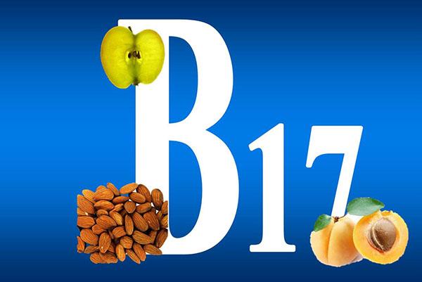 vitamina B17 em caroços de damasco