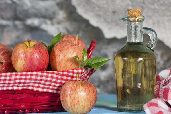 organinių rūgščių kompleksas obuolių sidro acte