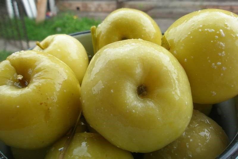 deliziose mele in salamoia