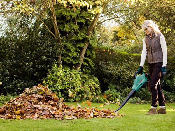 curățarea frunzelor cu un aspirator de grădină
