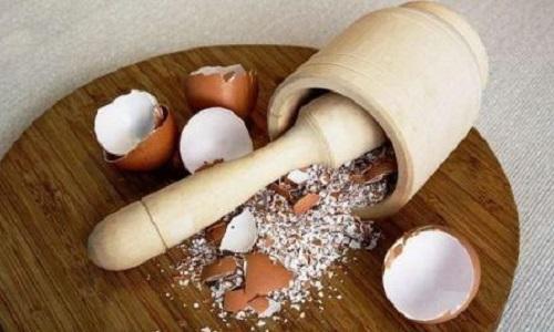 eggeskall