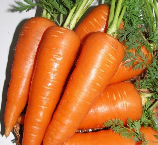 hibridinė morkos