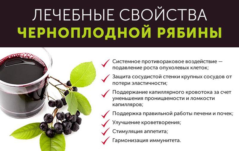 proprietăți medicinale ale chokeberry