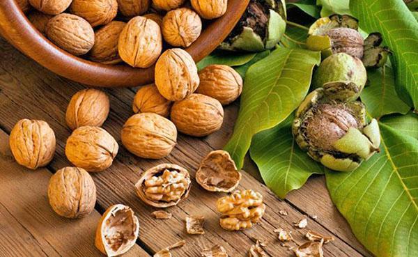 useful properties of walnuts