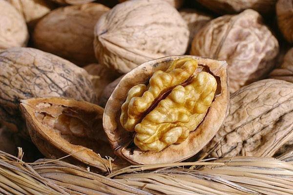 healthy walnut