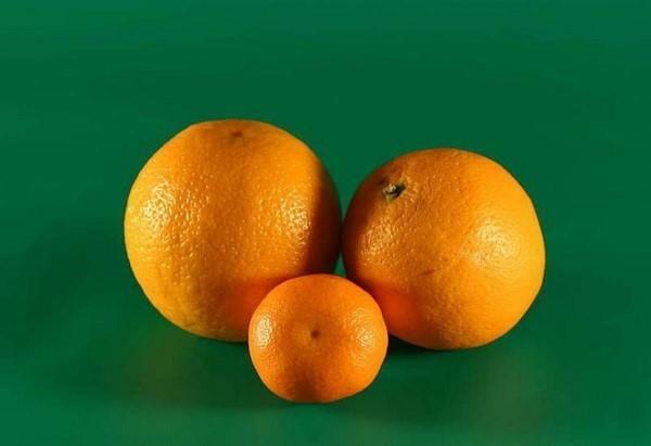 portakal ve mandalina