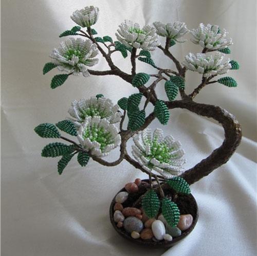 kukkiva bonsai