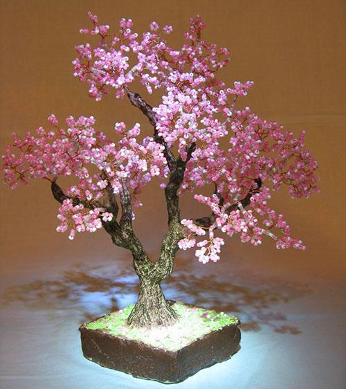 niesamowity koralik bonsai