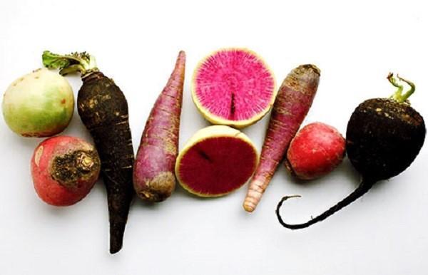 types of radish