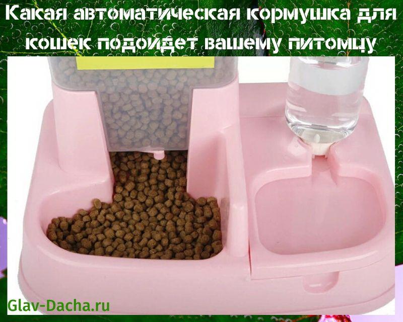 mangeoire automatique pour chat