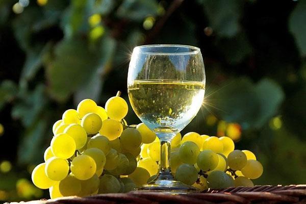 bijelo vino od grožđa