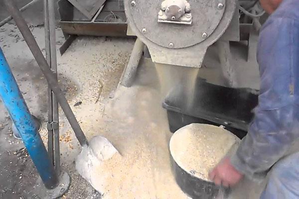 crushing grain with a grinder