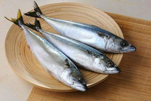 choose a herring for pickling