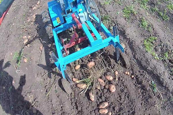 vyorávač brambor na jednoosém traktoru