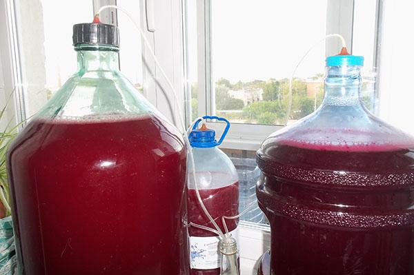 aveņu vīna fermentācijas process