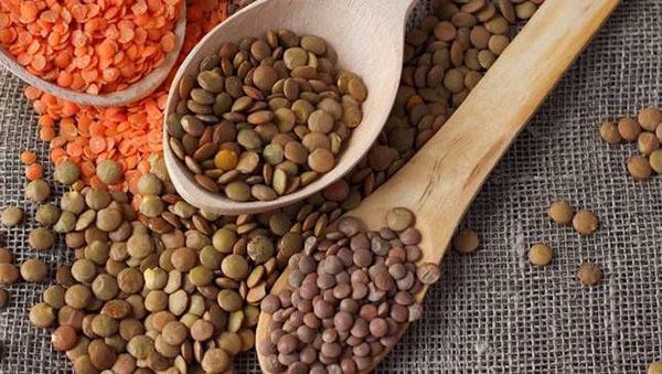 healthy lentils