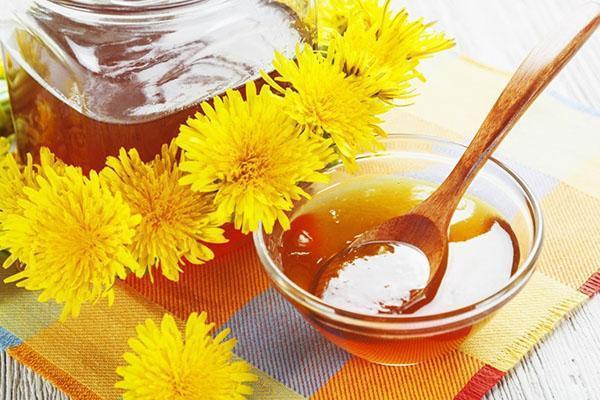 výhody a škody z púpavového medu