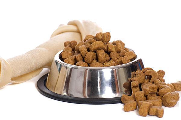 nourriture sèche pour chiens