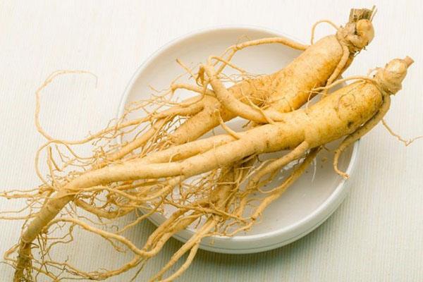 unique ginseng root