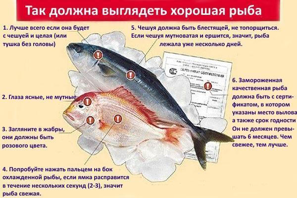 правила за подбор на риба за осоляване