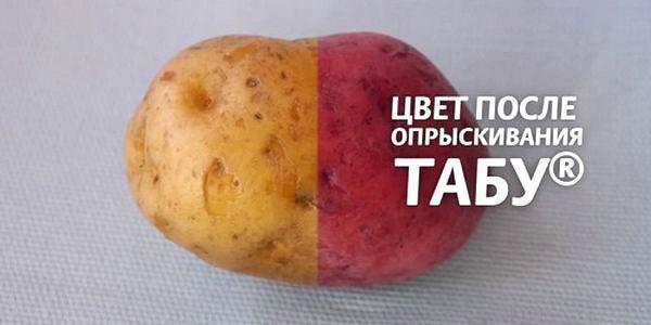 poteter før og etter bearbeiding