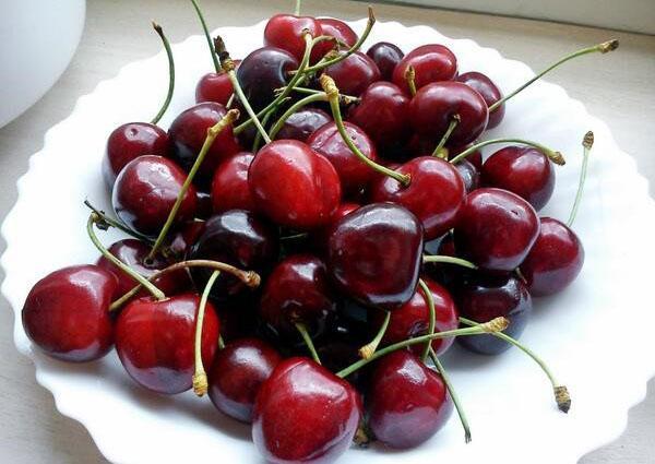 сочни сладки плодове от череша Жуковская